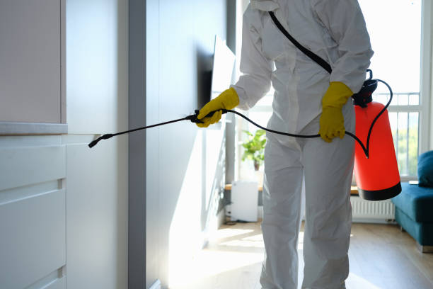 Best Mold Remediation for Specific Building Types in Brawley, CA